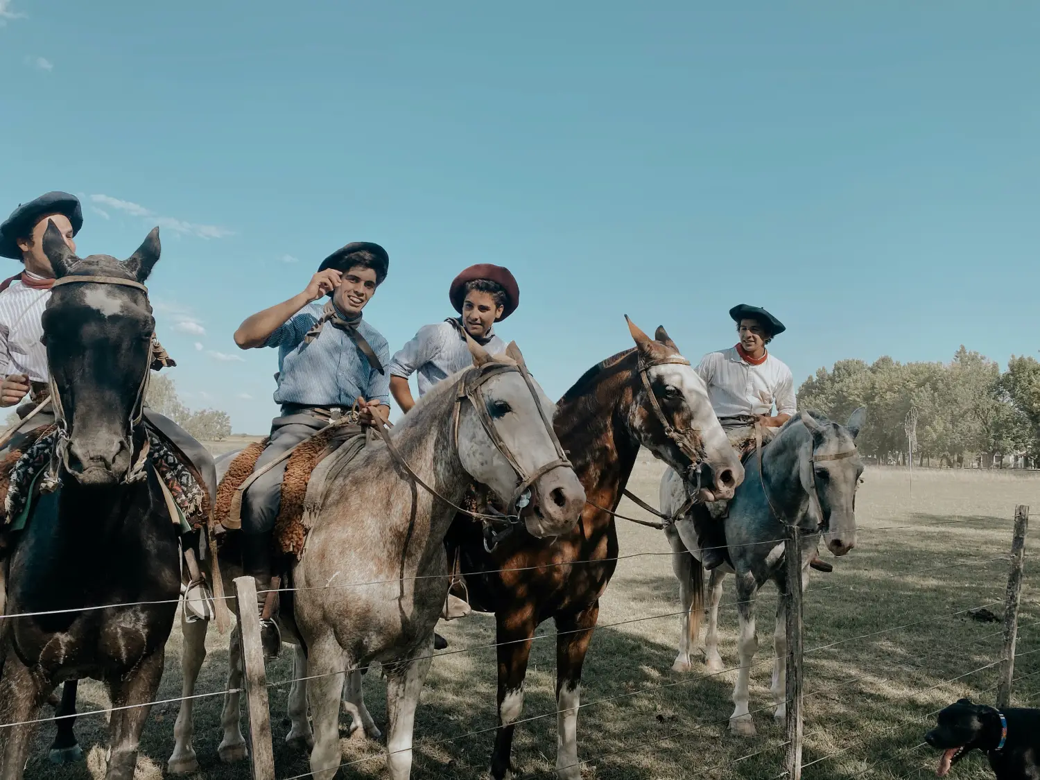 a group of men riding on the backs of horses