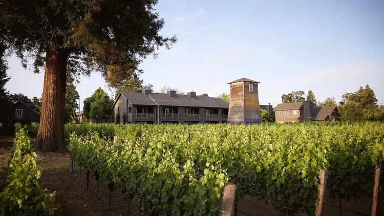 a house in the middle of a vineyard